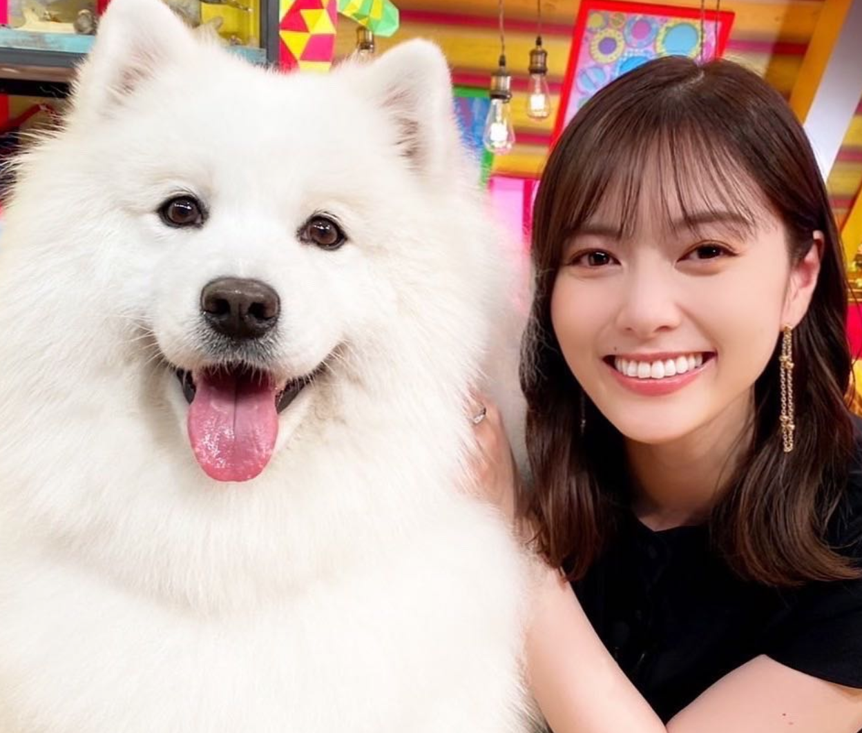 白石麻衣さんと真っ白もふもふ犬の”密着ショット”が尊い😇💕「可愛いが渋滞してる😍」