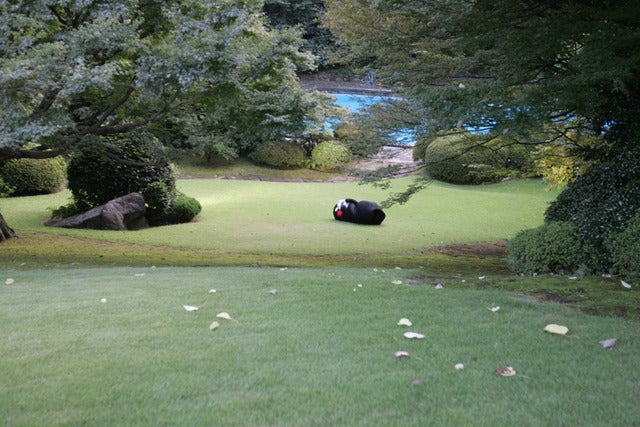 【動画】くまモン、ダンスをフランス大使公邸で披露…しかもフランス語バージョン撮影:山口和幸