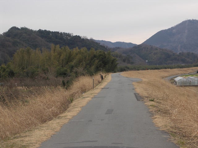 狩野川の堤防上に延びる自転車道。僕がかつて訪れたときに撮ったもの