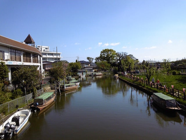潮来はあやめ祭りで有名撮影:山口和幸