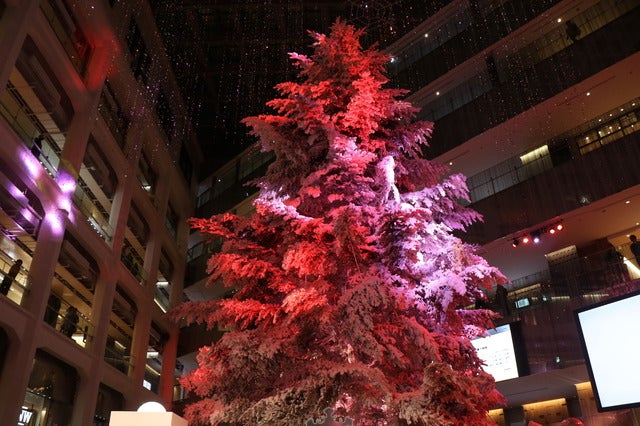 小嶋陽菜(AKB48)がWHITE Tree ライトアップセレモニー」に登壇(2016年11月24日)撮影:山本有莉