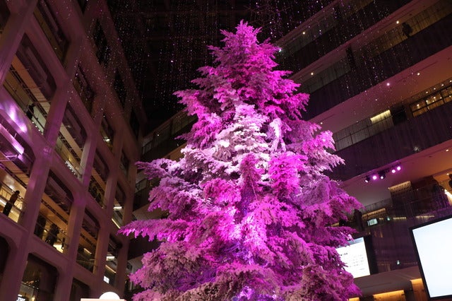 小嶋陽菜(AKB48)がWHITE Tree ライトアップセレモニー」に登壇(2016年11月24日)撮影:山本有莉