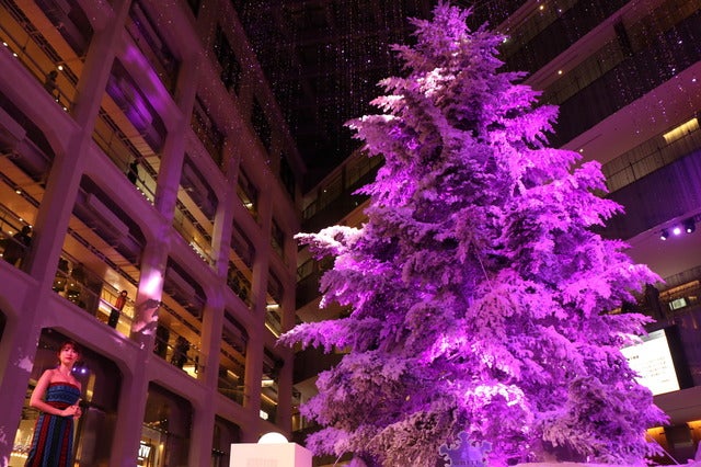 小嶋陽菜(AKB48)がWHITE Tree ライトアップセレモニー」に登壇(2016年11月24日)撮影:山本有莉