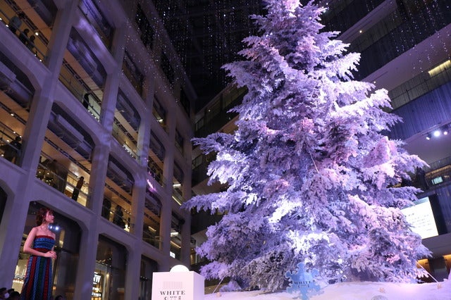 小嶋陽菜(AKB48)がWHITE Tree ライトアップセレモニー」に登壇(2016年11月24日)撮影:山本有莉