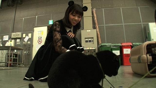 乃木坂46、マウスコンピューター新CM『マウスダンス』国内生産篇に登場