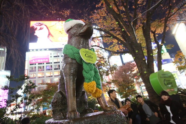 SHIBUYA ILLUMINATION 2016 イルミネーション点灯式（2016年12月9日）