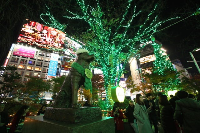 SHIBUYA ILLUMINATION 2016 イルミネーション点灯式（2016年12月9日）