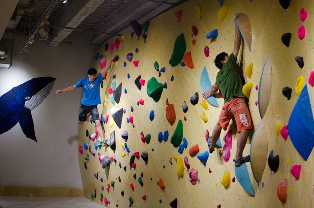 キュープラザ二子玉川にクライミングジム「フィッシュアンドバード」が2017年4月28日にオープン撮影：五味渕秀行