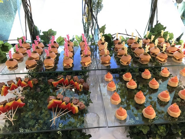 都内で行われた記者発表撮影＝山口和幸