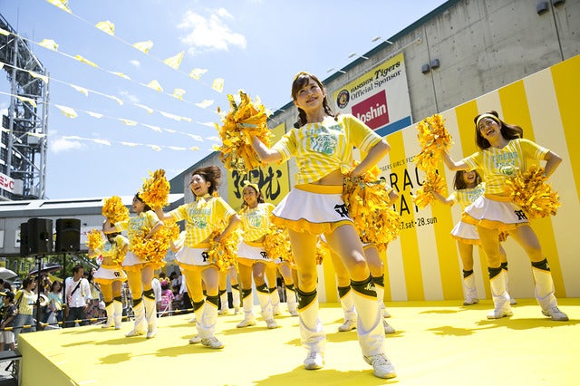 阪神タイガース女性ファンが集合！「TORACO DAY」に約5万人が参加