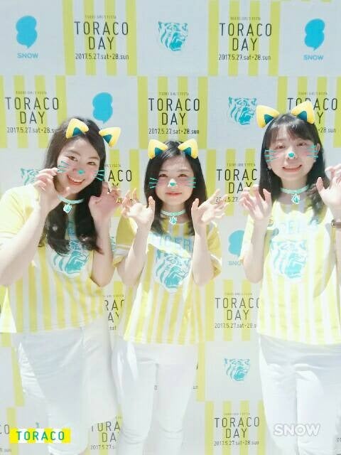 阪神タイガース女性ファンが集合！「TORACO DAY」に約5万人が参加