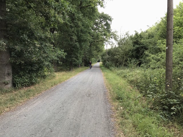 幹線から離れたところにあるサイクリングロード撮影=山口和幸