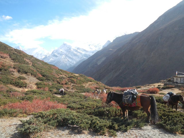 Nepal day 8/9Photo Asami SAKURA