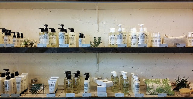 東京・原宿に7月15日オープンする「BOTANIST Tokyo」（写真は11日のメディア公開時）《撮影 大野雅人／伊牟田まどか（Gazin Airlines）》
