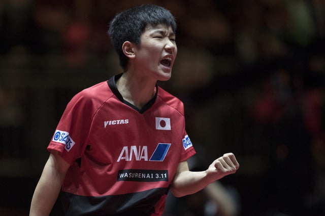 張本智和 参考画像（2017年6月3日）(c) Getty Images