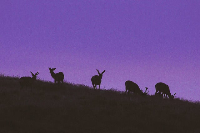 テント設営や撤収講習つきの「気軽に手ぶらdeキャンプ体験」開催