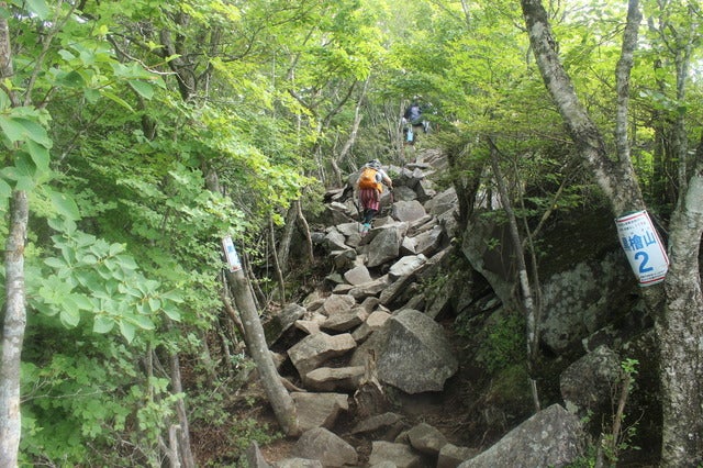 登山道(2)撮影:久米成佳