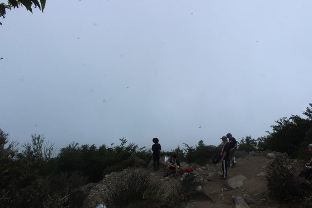 絶景ポイントからの残念な眺め(1)撮影:久米成佳