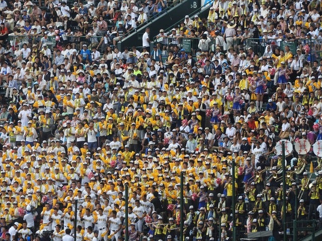 黄色く染まった前橋育英応援席撮影:手束仁