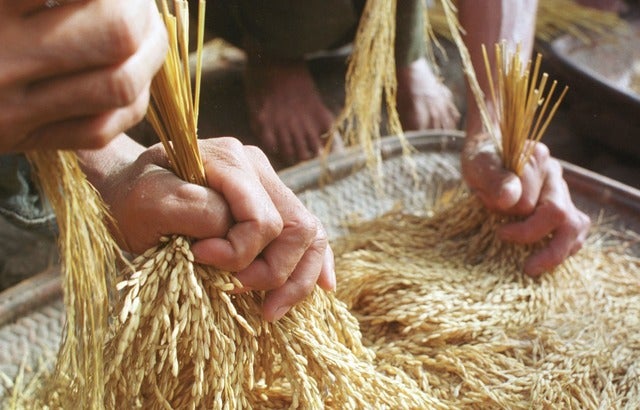 イメージ画像(c)Getty Images