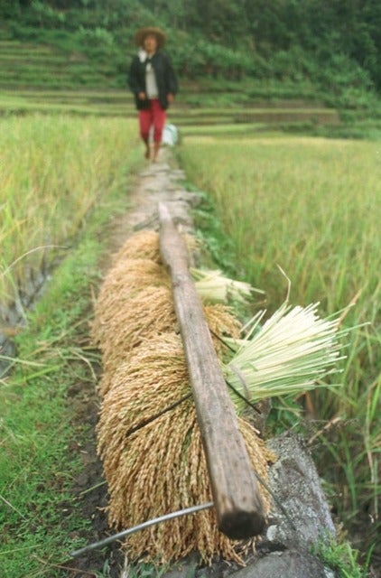 イメージ画像(c)Getty Images