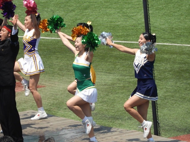 明治大チアリーダーたち撮影：手束仁