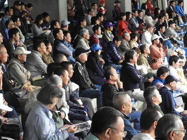 スタンドには連日、熱心なファンが多く詰めかける撮影：手束仁