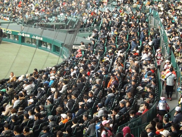 前回のセンバツ大会スタンド撮影：手束仁