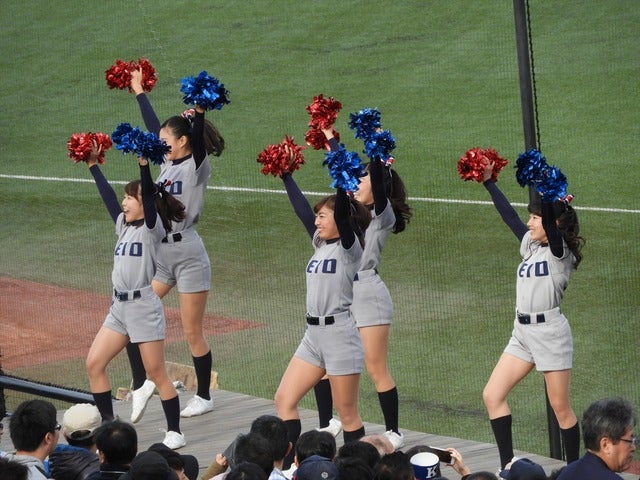 慶應義塾大チアリーダー撮影：手束仁