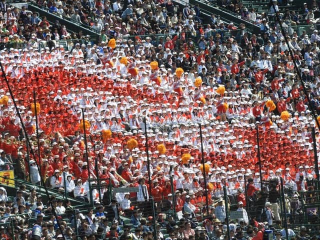 智弁和歌山応援スタンド撮影：手束仁