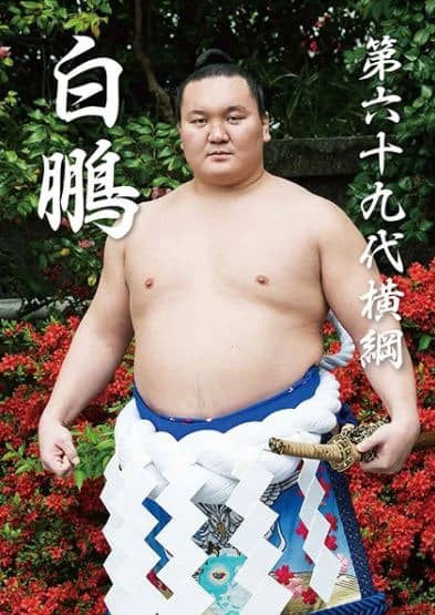 白鵬、鶴竜、稀勢の里を特集した「大相撲ぴあ 平成三十年度版」発売