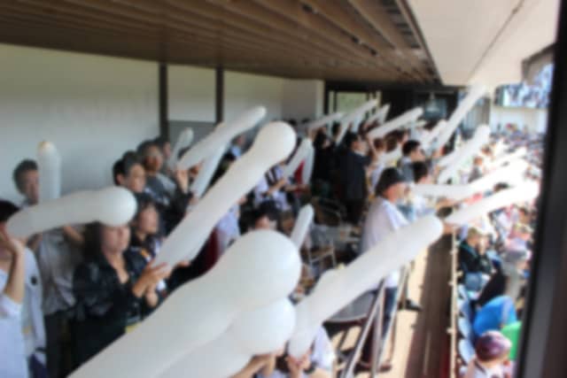 野球観戦×出会いイベント「千葉ロッテマリーンズファンミーティング」6月開催