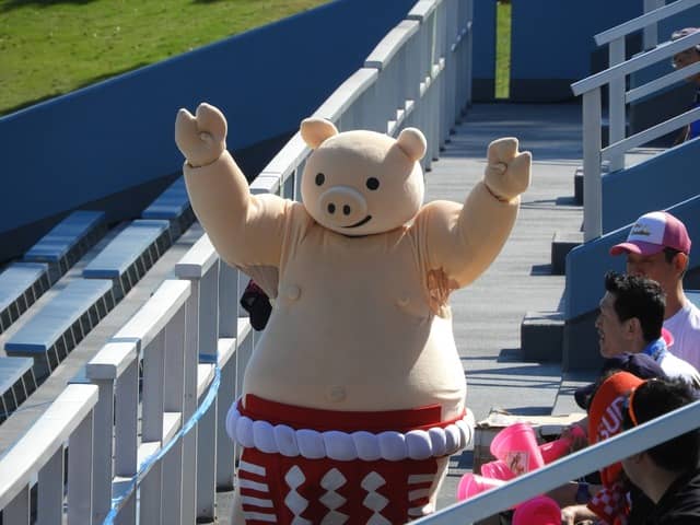 矢場とんブースターズのマスコット撮影：手束仁