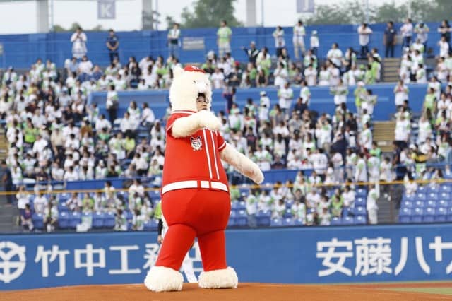 交流戦史上初の着ぐるみ始球式!ひょっこりはんがノーバン投球