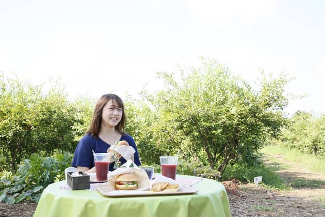 フルーツと自然をめぐるサイクリングプログラム「かすみがうらライドクエストフルーツハンター夏」スタート