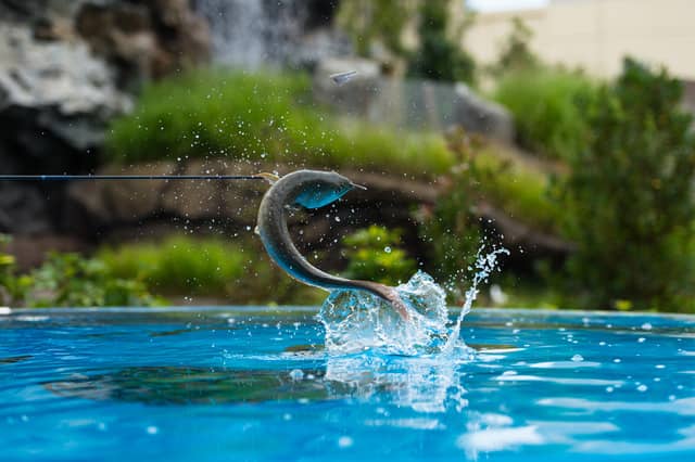 サッカー・ラグビー体験会、トークショーなどのスポーツイベントをサンシャインシティが開催