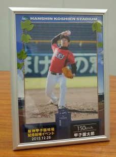 マウンドに上がって投球できる！「阪神甲子園球場 年末投球イベント」12月開催