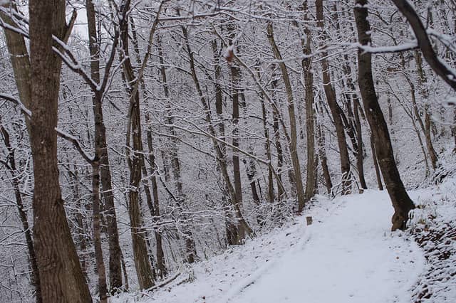 屋内ネットアスレチック「巨大ネットの森 SUMIKA」がツインリンクもてぎに3月オープン