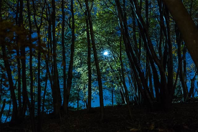 屋内ネットアスレチック「巨大ネットの森 SUMIKA」がツインリンクもてぎに3月オープン