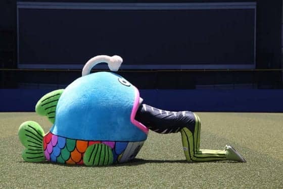 ロッテ謎の魚が寿司屋レアードに異例のお願い「私はとてもまずいです」