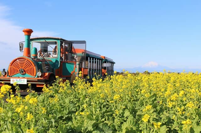 限定スイーツも味わえるおやつ×ランニング「おやつらんらんランニング」開催