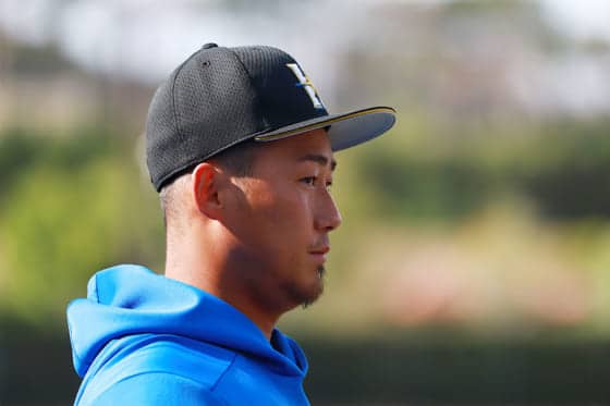 日本ハム中田翔が左内転筋を1度の肉離れ 試合復帰まで3週間の見込み 野球 スポーツブル スポブル