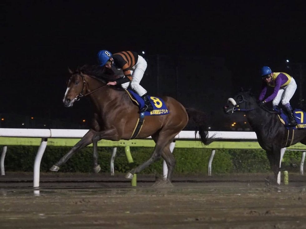 東京スプリント キタサンミカヅキが快勝 菜七子コパノキッキングは2着 その他競技 スポーツブル スポブル