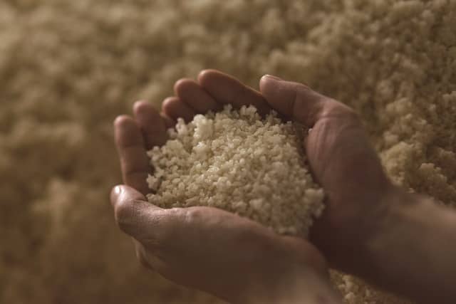 日本盛、甲子園で日本酒をロックで飲む「かちわり生原酒」販売