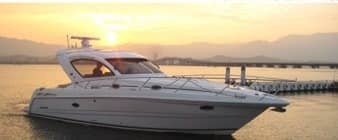 セーリング＆ウェイクサーフィン大会「YANMAR PREMIUM WATER FESTA」開催