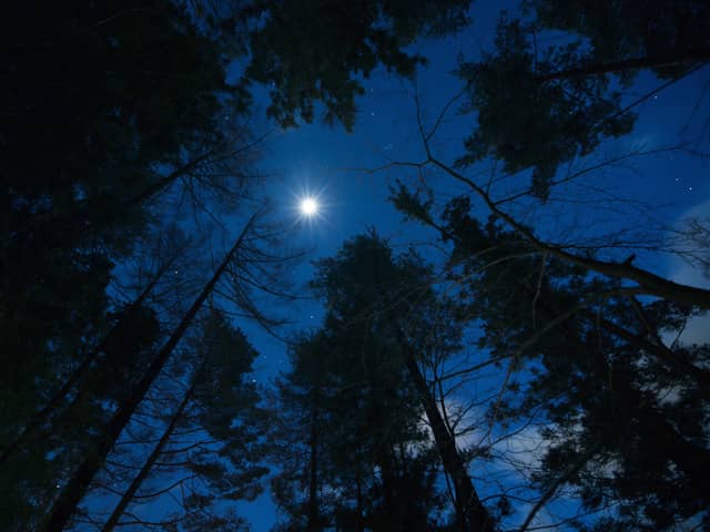 標高1200mの山頂を目指す夜のトレッキング「富士ムーンライトトレッキング」開催