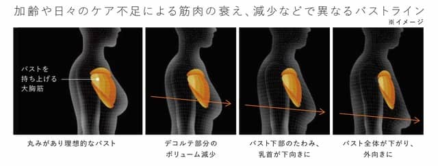 EMSで大胸筋を効率的に鍛える「SIXPAD Chest Fit」予約販売開始