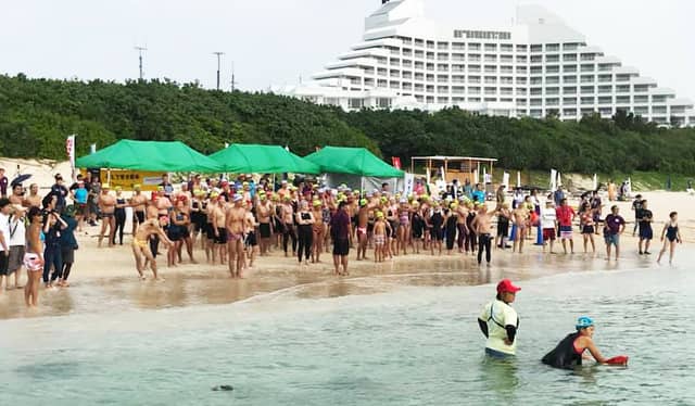 オープンウォータースイミング「SWANS CUP」10月開催