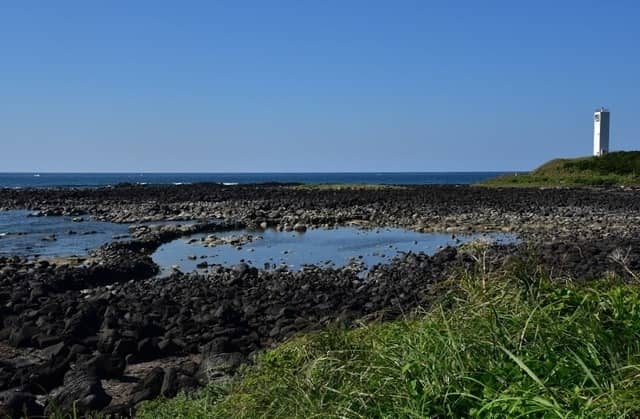 日本遺産みみらくのしまを走る「五島つばきマラソン」が2020年2月開催