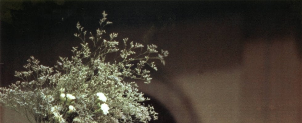 いまだ卓球ファンを魅了し続けるファンタジスタ、ワルドナー